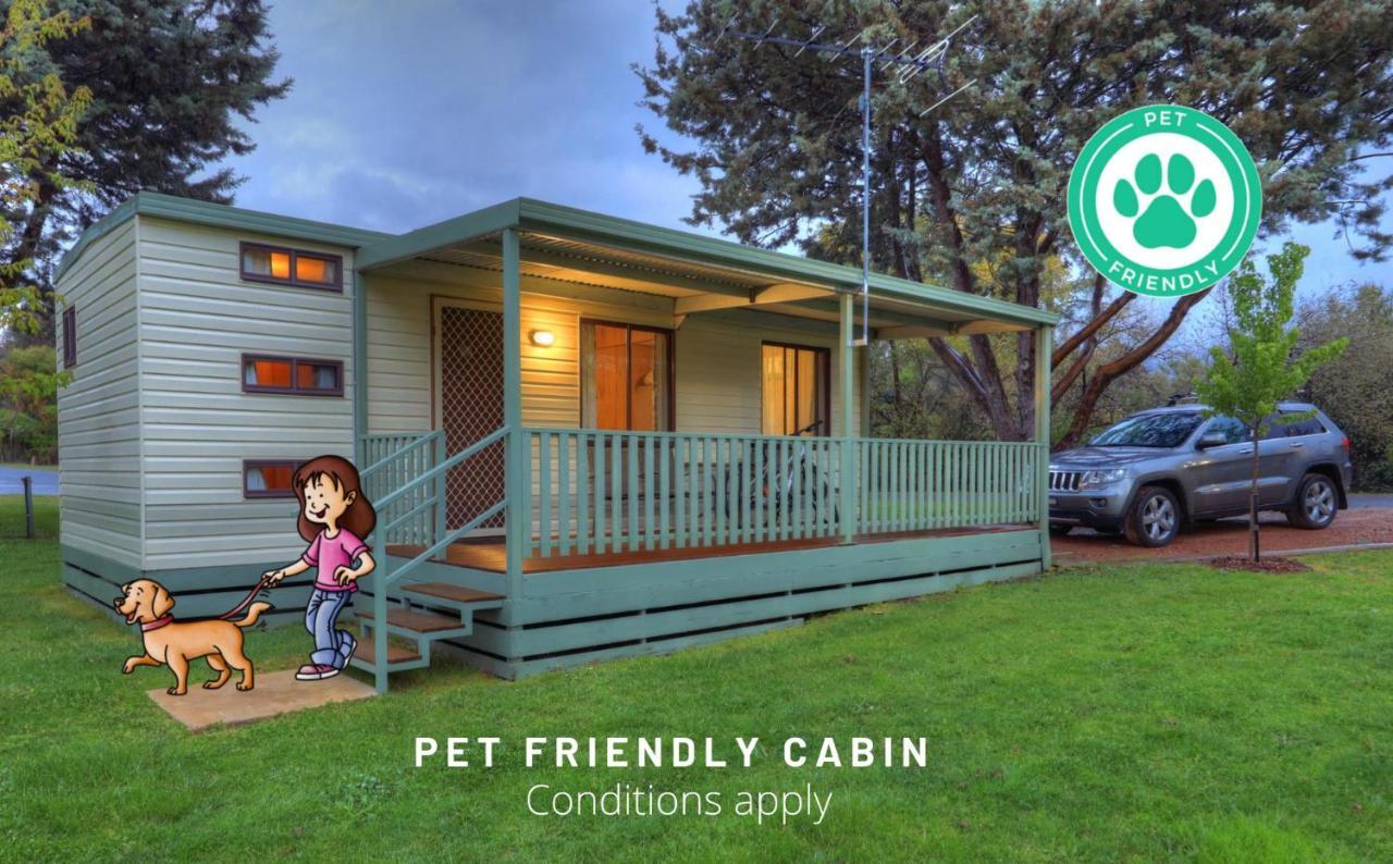 Beechworth Lake Sambell Caravan Park Εξωτερικό φωτογραφία