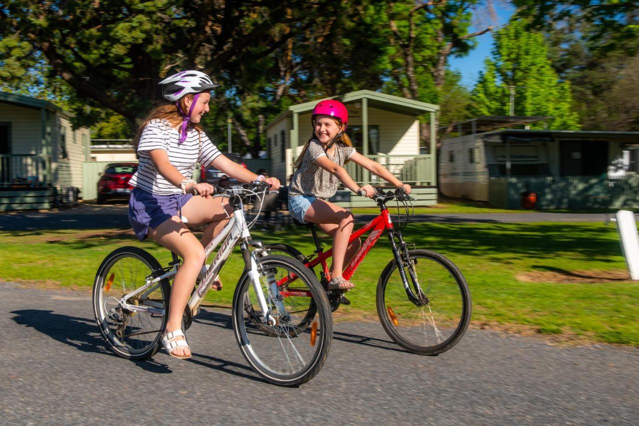 Beechworth Lake Sambell Caravan Park Εξωτερικό φωτογραφία