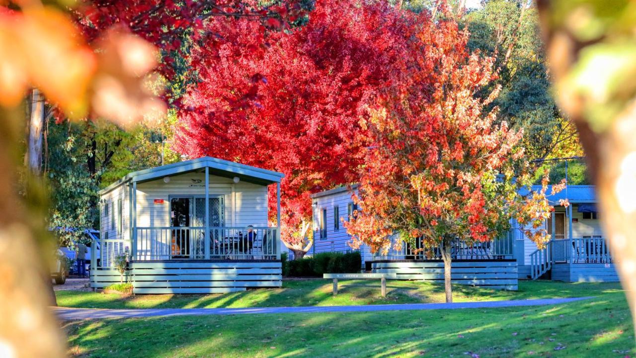 Beechworth Lake Sambell Caravan Park Εξωτερικό φωτογραφία