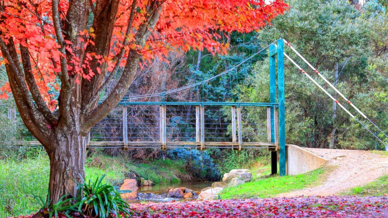 Beechworth Lake Sambell Caravan Park Εξωτερικό φωτογραφία