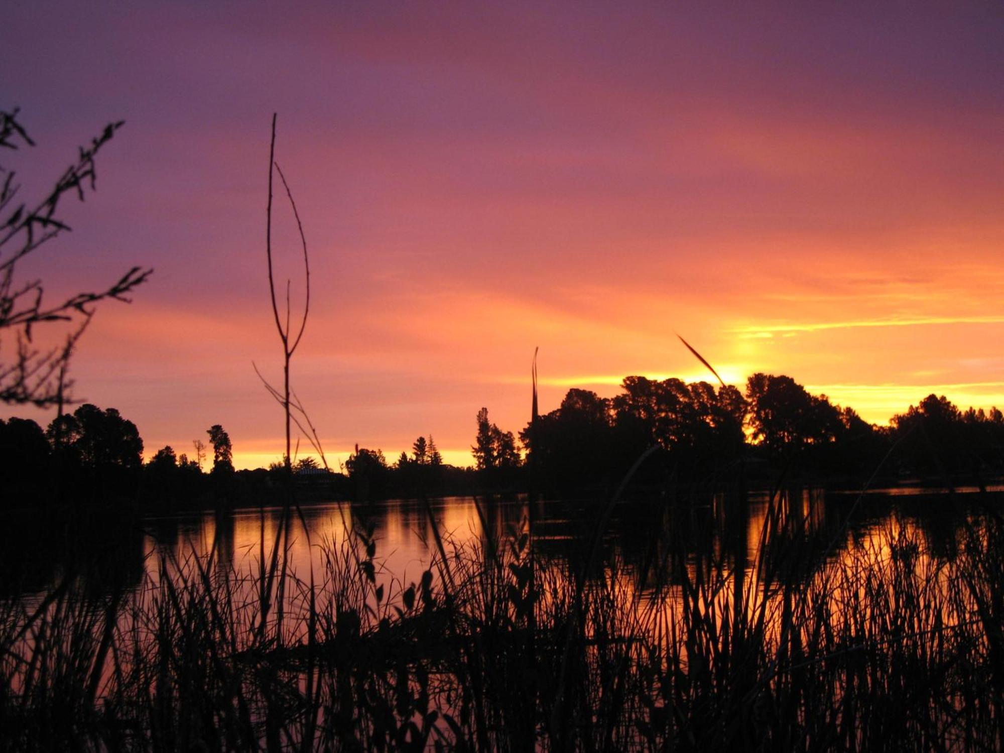 Beechworth Lake Sambell Caravan Park Εξωτερικό φωτογραφία