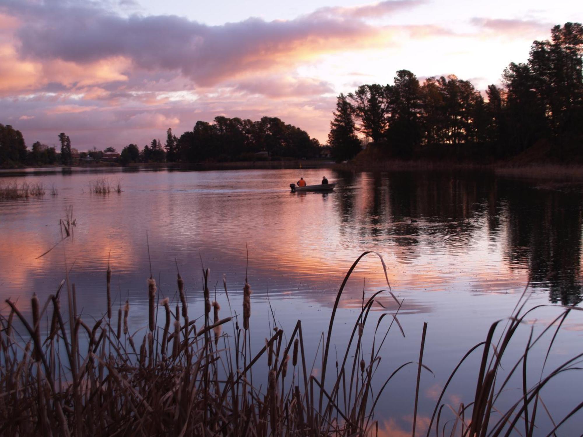 Beechworth Lake Sambell Caravan Park Εξωτερικό φωτογραφία
