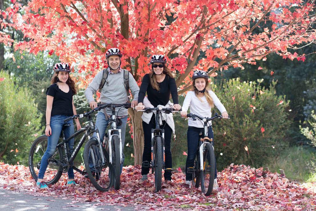 Beechworth Lake Sambell Caravan Park Εξωτερικό φωτογραφία